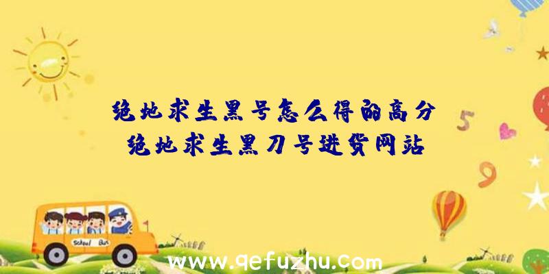 「绝地求生黑号怎么得的高分」|绝地求生黑刀号进货网站